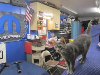 3.9.15 023.jpg 3.9.15 023.jpg