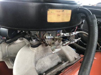 0A31236B-B744-49DF-BA0C-16BAF0C98C02.jpeg 0A31236B-B744-49DF-BA0C-16BAF0C98C02.jpeg