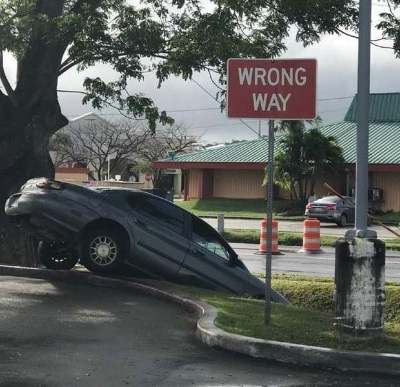 vzsrqcp5h3f41.jpg