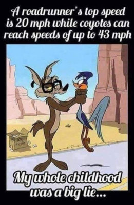 AA!.jpg