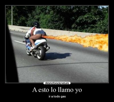 tumblr_lgxy53kmab1qbqt8go1_500.jpg