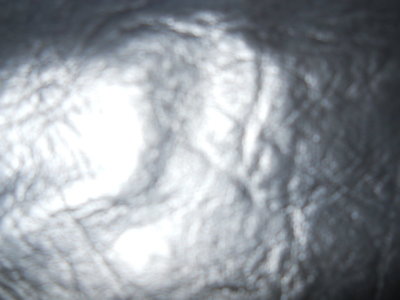 DSCN0564.JPG