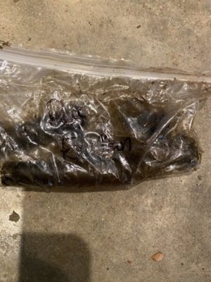 5314A7CB-4C2A-4136-A59C-87845FC037D5.jpeg 5314A7CB-4C2A-4136-A59C-87845FC037D5.jpeg