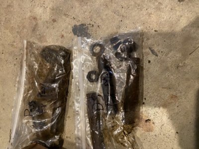 F8269B0A-722C-4CAB-B7DD-E472ABD33545.jpeg F8269B0A-722C-4CAB-B7DD-E472ABD33545.jpeg