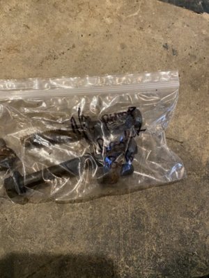 1098EF92-20E8-4FFF-B841-8BEE27D08C68.jpeg 1098EF92-20E8-4FFF-B841-8BEE27D08C68.jpeg