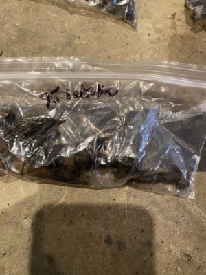 F09AA3CA-1F6B-4B95-9029-63B212C9DCA0.jpeg F09AA3CA-1F6B-4B95-9029-63B212C9DCA0.jpeg