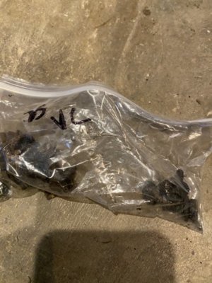 8A2E8F42-AFE9-4C0D-A121-47061505BC65.jpeg 8A2E8F42-AFE9-4C0D-A121-47061505BC65.jpeg