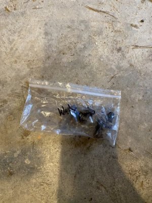 7711F737-D23F-444C-B55E-41E156A66D8D.jpeg 7711F737-D23F-444C-B55E-41E156A66D8D.jpeg