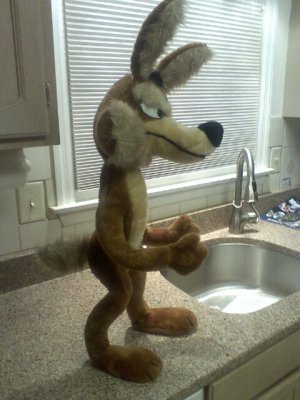 7643999-Wile2.jpg 7643999-Wile2.jpg