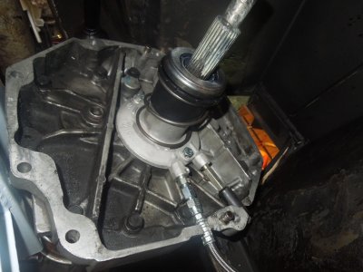 throw out 3 DSCN663509.JPG