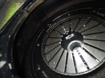 throw out 3 DSCN663535.JPG