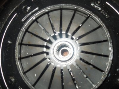 throw out 3 DSCN663536.JPG