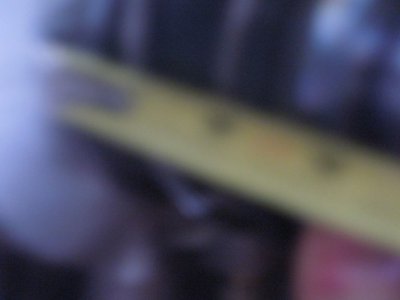 throw out 3 DSCN663545.JPG