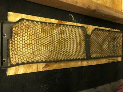honeycomb grille.jpg honeycomb grille.jpg