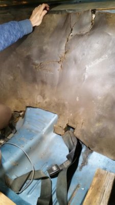 Trunk Divider 14 (Medium).jpg Trunk Divider 14 (Medium).jpg