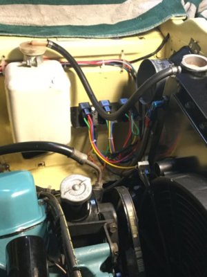 BFB1F804-5753-4248-A951-A536C71E2AEA.jpeg BFB1F804-5753-4248-A951-A536C71E2AEA.jpeg