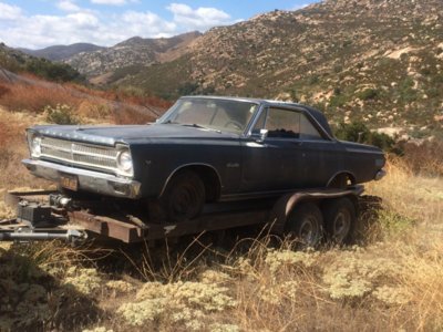 IMG_2453 (1).JPG IMG_2453 (1).JPG