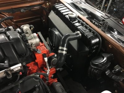 file113.JPG file113.JPG