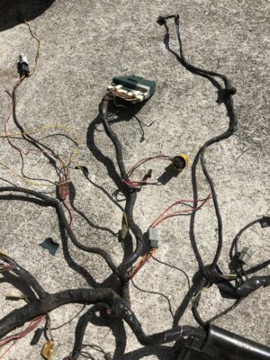 BF574BF5-9A0C-4FE4-A817-5B916DF04046.jpeg BF574BF5-9A0C-4FE4-A817-5B916DF04046.jpeg