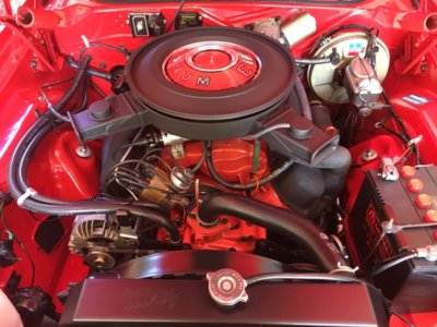 3825ACA3-FA85-4381-B9ED-229B36CFB679.jpeg 3825ACA3-FA85-4381-B9ED-229B36CFB679.jpeg