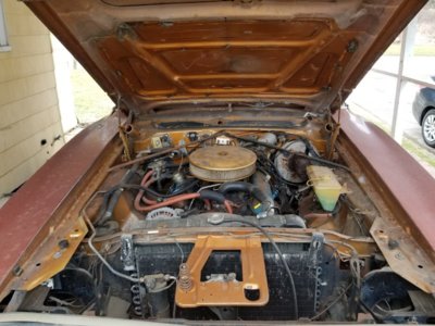 20200312_124321.jpg 20200312_124321.jpg