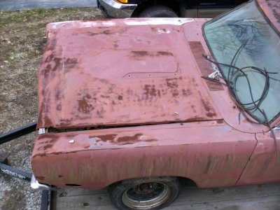 car 018.jpg