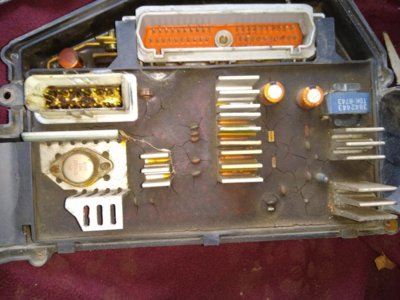 IMG_20200314_135307590.jpg IMG_20200314_135307590.jpg