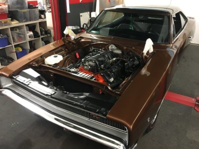 file115.JPG file115.JPG