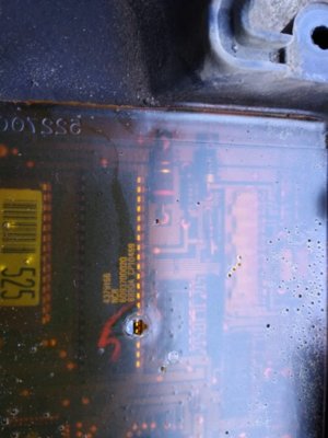 IMG_20200317_142428400.jpg IMG_20200317_142428400.jpg