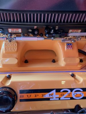 IMG_1031.JPG IMG_1031.JPG