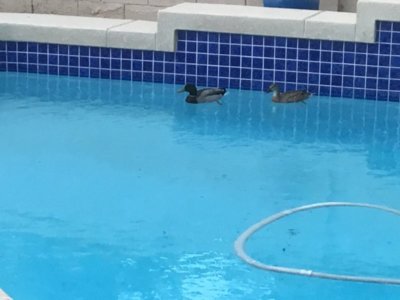 59E498BE-E109-4750-B29B-A280BC8F9011.jpeg 59E498BE-E109-4750-B29B-A280BC8F9011.jpeg