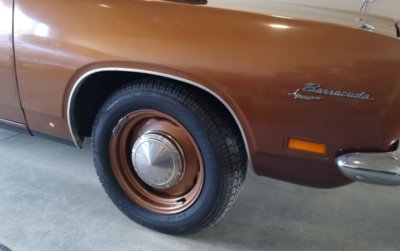 IMG_20191006_111703249 (2).jpg