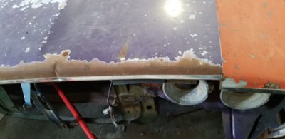 RR purple hood nose.jpg RR purple hood nose.jpg