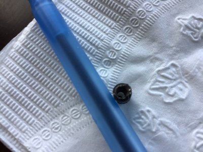 40B4407E-F019-4C1F-B756-BA674177B1C0.jpeg 40B4407E-F019-4C1F-B756-BA674177B1C0.jpeg