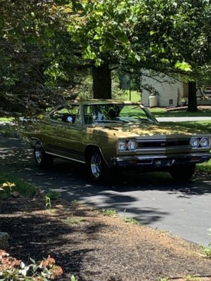 IMG_2955.jpg IMG_2955.jpg