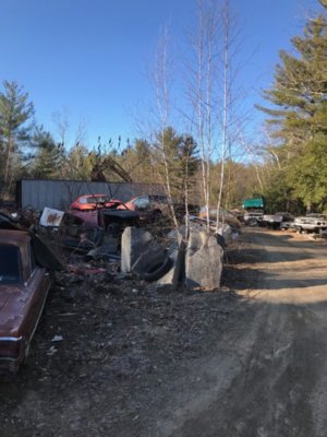 junk yard .jpg