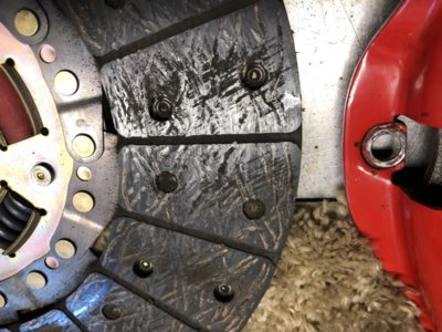 D3A92117-D2F1-4E19-9105-B975AFB533C4.jpeg D3A92117-D2F1-4E19-9105-B975AFB533C4.jpeg