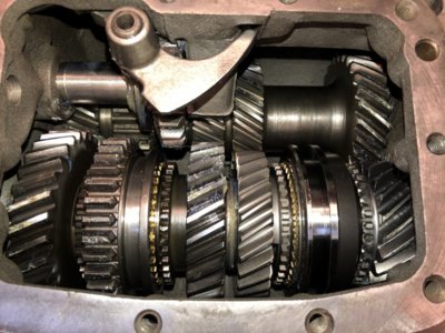 42017139-1A01-4CC5-81CE-EC8EC84A3E9E.jpeg 42017139-1A01-4CC5-81CE-EC8EC84A3E9E.jpeg