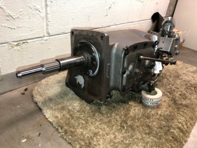 80216868-3A68-4E37-81A8-AE40E0088EA2.jpeg 80216868-3A68-4E37-81A8-AE40E0088EA2.jpeg