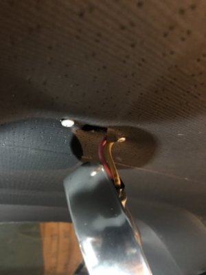 D1A712FC-9E2B-4AA5-BC08-C94F27D302C3.jpeg D1A712FC-9E2B-4AA5-BC08-C94F27D302C3.jpeg