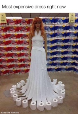 Most Expensive and Rarest Dress - For the Next Few Weeks.jpg