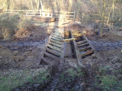 pond 5.JPG pond 5.JPG