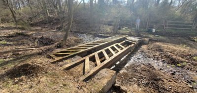 pond33.jpg pond33.jpg