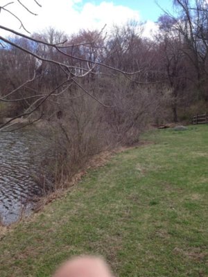 pond44.JPG pond44.JPG