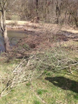 pond55.JPG pond55.JPG