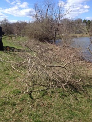 pond66.JPG pond66.JPG