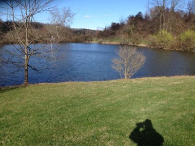 pond77.JPG pond77.JPG