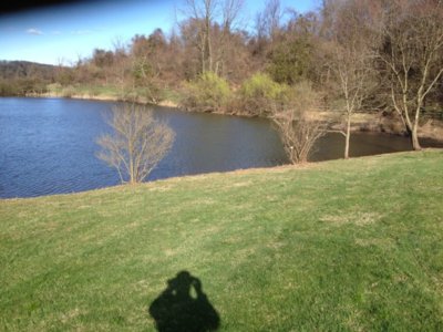 pond88.JPG pond88.JPG