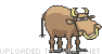 bullshit-bs-smiley-emoticon.gif bullshit-bs-smiley-emoticon.gif