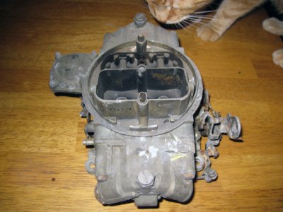 Holly 01.jpg Holly 01.jpg